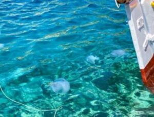 Akdeniz can çekişiyor: Uzmanlardan uyarı geldi!