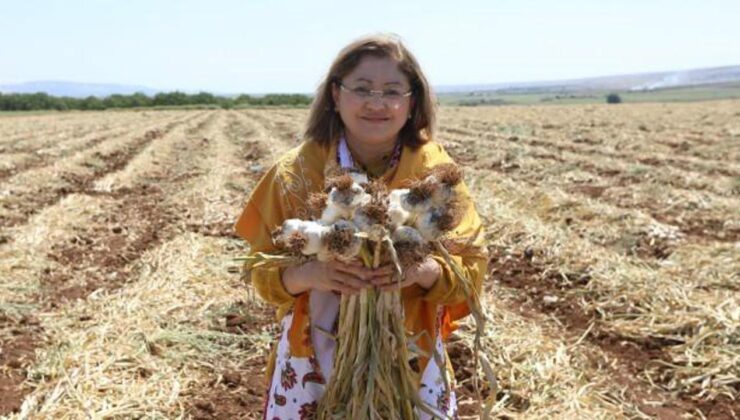 ‘Araban Sarımsağı’na AB’den tescil