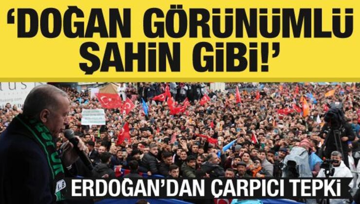 Erdoğan’dan çarpıcı tepki: Doğan görünümlü şahin gibi!