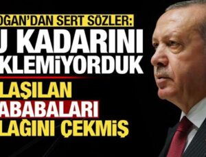 Erdoğan’dan sert sözler: Bu kadarını beklemiyorduk, anlaşılan ağababaları kulağını çekmiş!