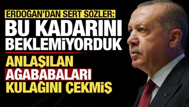 Erdoğan’dan sert sözler: Bu kadarını beklemiyorduk, anlaşılan ağababaları kulağını çekmiş!