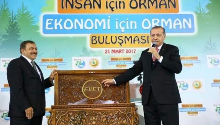 Eski Bakan Prof. Dr. Veysel Eroğlu’ndan ‘Orman Haftası’ mesajı