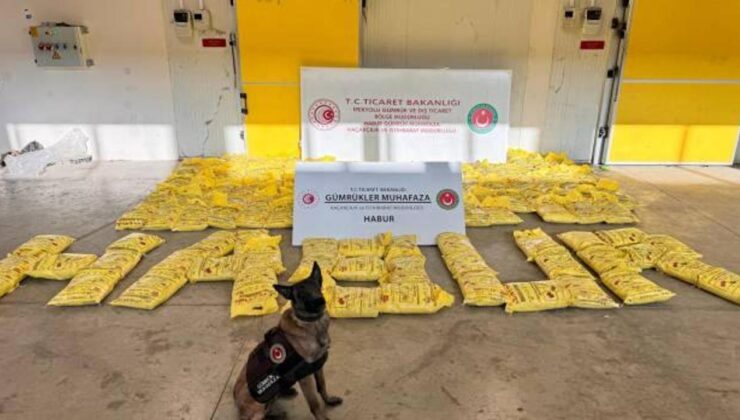 Habur Gümrük Kapısı’nda rekor miktarda eroin ele geçirildi