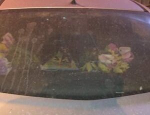 İstanbul Sahra Çölü’nden gelen toz bulutunun etkisi altına girdi