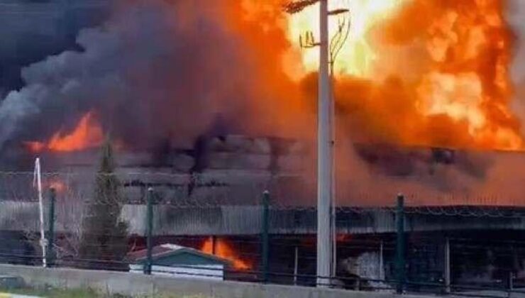 İzmir’de korkutan yangın! Çok sayıda ekip bölgede