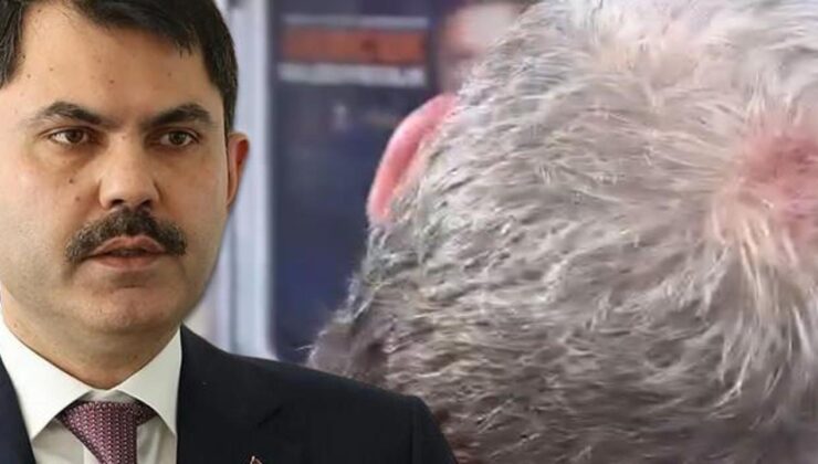 Maltepe’de AK Partili isme saldırı! Murat Kurum’dan kınama