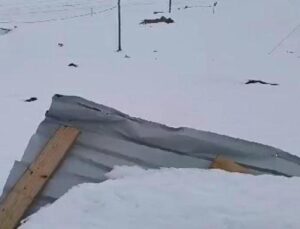 Rize’de 2 evin üzerine çığ düştü