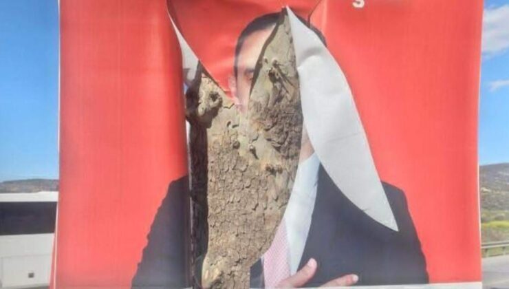 Silifke’de MHP adayının afişleri kesildi
