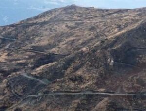 Sinop’ta yangında zarar gören 322,7 hektarlık alan yeniden ağaçlandırılıyor