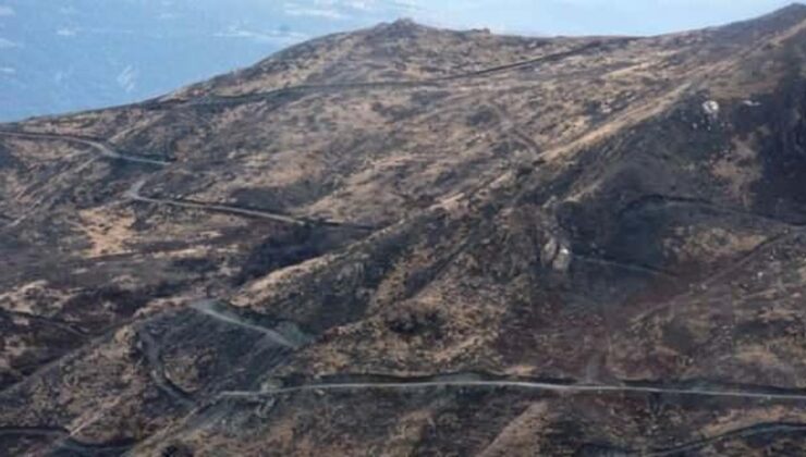 Sinop’ta yangında zarar gören 322,7 hektarlık alan yeniden ağaçlandırılıyor