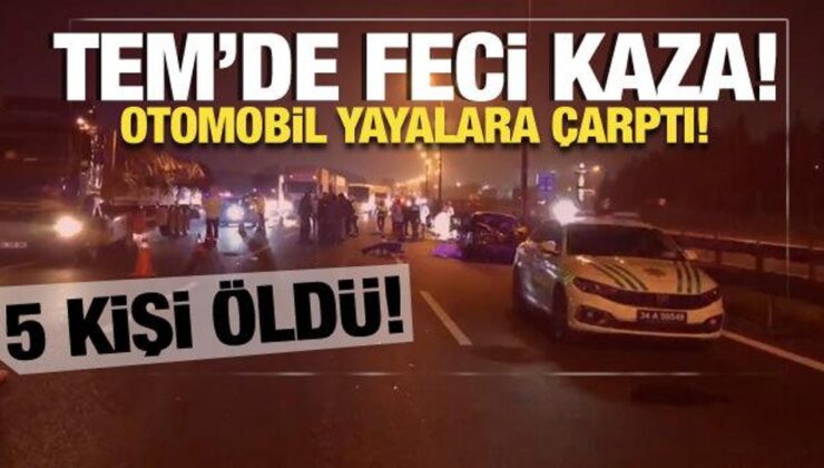 TEM Otoyolu’nda yayalara otomobil çarptı: 5 ölü