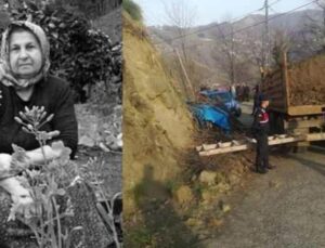 Yol kenarında yakacak topluyordu: Yaşlı kadının feci sonu!
