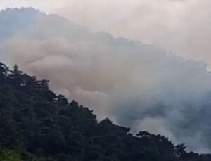 Antalya’da orman yangını! Çok sayıda ekip harekete geçti