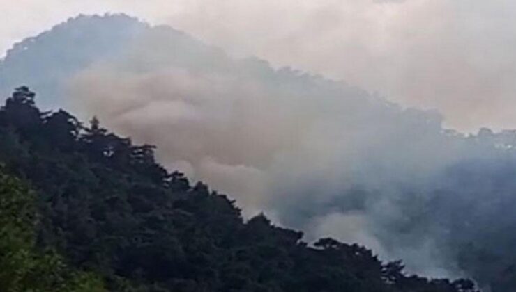 Antalya’da orman yangını! Çok sayıda ekip harekete geçti