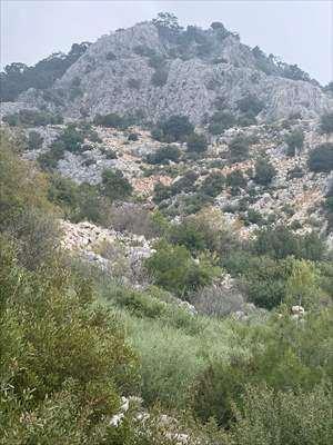 <p>Bölgeye ulaşan ekipler, Memiş Gümüş'ün (54) yaşamını yitirdiğini, Özlem Şahin, Kaan Akgün, Fatih Gümüş, Keziban Çapar Gümüş, Lütfullah Kerim Gümüş, Herdem Eyüpoğlu ve Kırgızistan uyruklu Akmaral Abdyldaeva'nın yaralandığını belirledi.</p><p> </p>