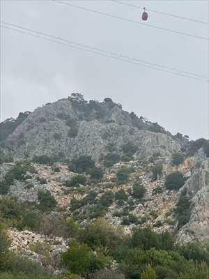 <p>Sağlık Bakanı Fahrettin Koca, kazaya ilişkin sosyal medya hesabından yaptığı açıklamada, şu bilgileri paylaştı:</p><p>"Antalya'nın Konyaaltı ilçesinde bir teleferik kabininin düşmesi sonucunda bir kişi hayatını kaybetmiş, 10 kişi yaralanmıştır. Kaza sebebiyle 6 ambulans ve 2 UMKE timiyle, toplam 24 kişilik sağlık ekibi görevlendirilmiştir. Yaralılar ilk müdahalelerin ardından hastanelere sevk edilerek tedavilerine başlanmıştır, sağlık durumları ciddiyet arz etmemekte."</p>