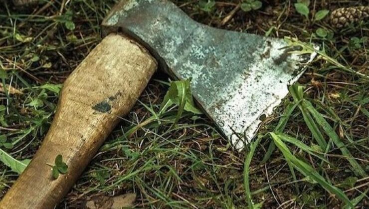 Araç’ta baltalı dehşet! Gözaltına alındı