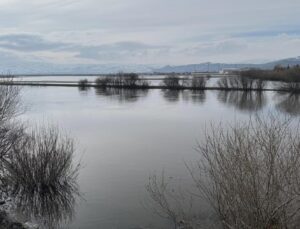 Ardahan’da Kura Nehri taştı