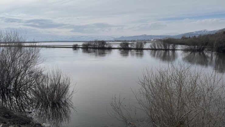 Ardahan’da Kura Nehri taştı