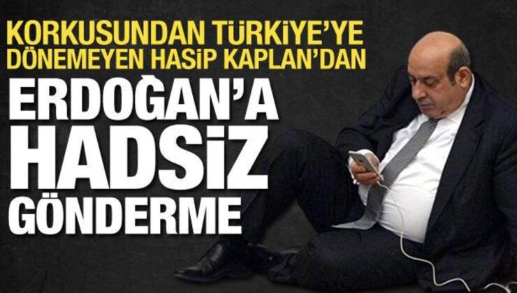 DEM Partili Hasip Kaplan’dan Cumhurbaşkanı Erdoğan’la ilgili hadsiz tweet