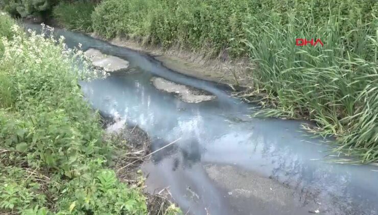 Fabrikanın kanala bıraktığı atıklar nedeniyle oluşan ‘kötü koku’ sorunu çözülemiyor