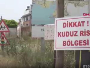 Hatay’da kuduz alarmı: 2 mahalle karantinaya alındı