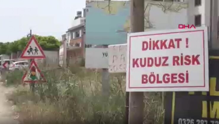 Hatay’da kuduz alarmı: 2 mahalle karantinaya alındı