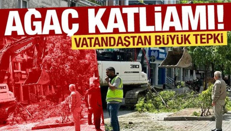 İstanbul’da ağaç katliamı! Esnaf ve vatandaş tepki gösterdi