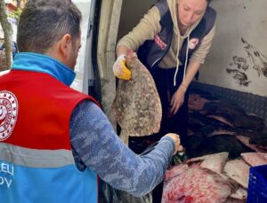 Kaçak yolla avlanan 340 kalkan balığı ele geçirildi