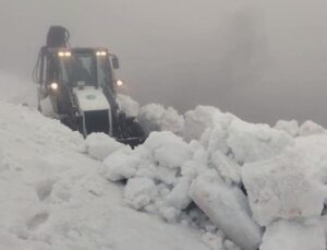 Karadeniz Nisan ayında beyaza büründü