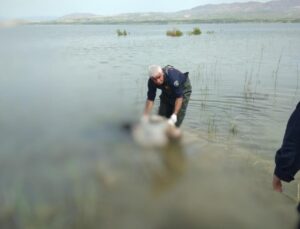 Kayıp olarak aranıyordu, baraj gölünde cesedi bulundu