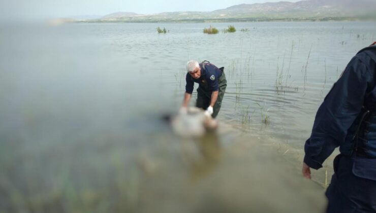 Kayıp olarak aranıyordu, baraj gölünde cesedi bulundu