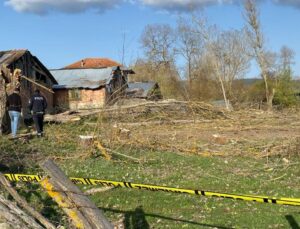 Kestiği ağacın altında kalan kişi öldü