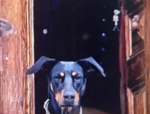 Korhan Berzeg ile ilgili flaş gelişme! Aranan parça bulundu