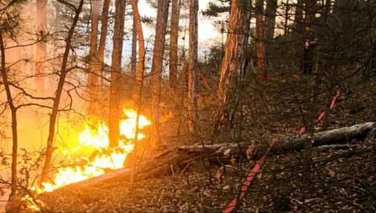 Kütahya’da orman yangını