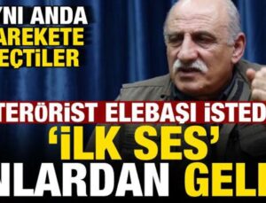 PKK elebaşı istedi, ilk ses onlardan geldi!