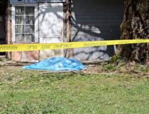 Sakarya’da korkunç olay: Bitki toplarken ceset buldu!