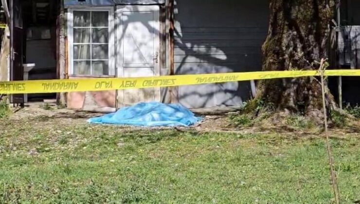 Sakarya’da korkunç olay: Bitki toplarken ceset buldu!