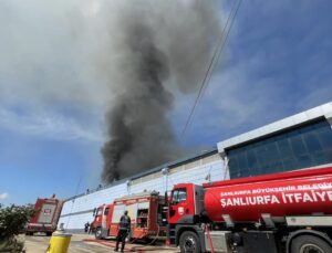 Şanlıurfa’da tekstil fabrikasında yangın çıktı