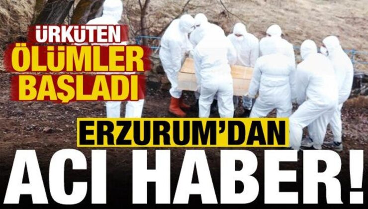 Ürküten ölümler başladı: Acı haber Erzurum’dan!