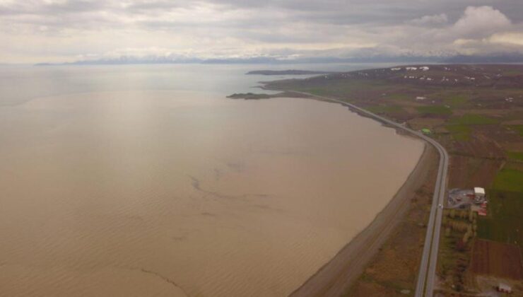 Van Gölü’nde şaşırtan görüntü