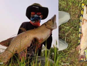 Amatör balıkçı tuttuğu balığı görünce gözlerine inanamadı: Sen nesin böyle!