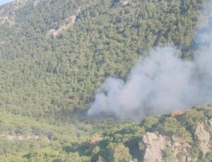 Antalya’da çıkan orman yangını! 2 dönüm alan zarar gördü