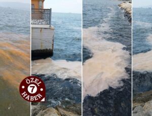 Bursa’da ilginç görüntü! Denizin rengi alg patlaması nedeniyle kahverengiye büründü