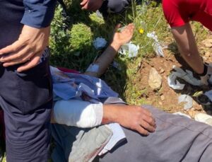 Hakkari’de hayvanlarını otlatırken ayının saldırdığı kişi yaralandı