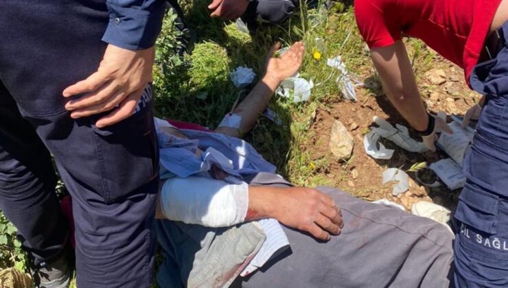 Hakkari’de hayvanlarını otlatırken ayının saldırdığı kişi yaralandı