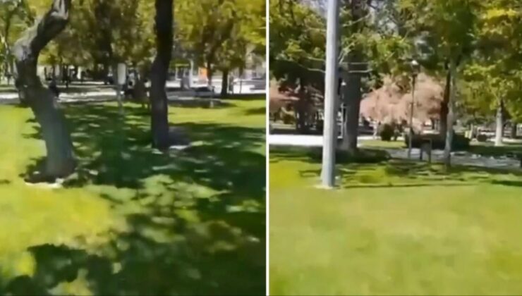 Konya’da parkta başıboş köpek göremeyen şahıs cinnet geçirdi