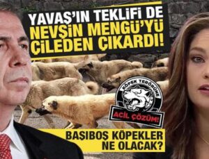 Mansur Yavaş’ın başıboş köpeklerle ilgili açıklaması Nevşin Mengü’yü sinirlendirdi