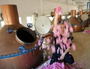 Şarkıcı Berdan Mardini dünyaya satıyor! Kilosu 14 bin euro