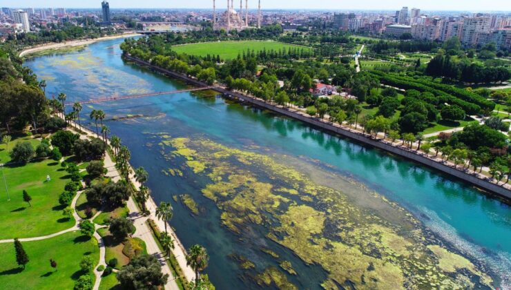 Serinlemek için Seyhan Nehri’ne giren genç kayboldu